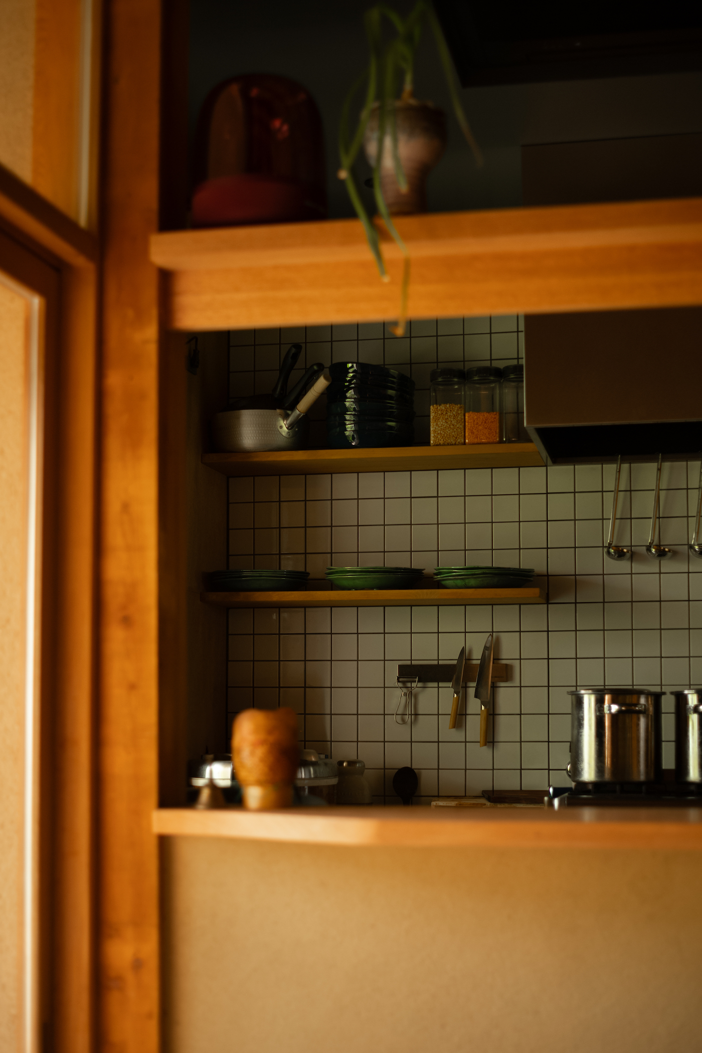 hayashisakimatsue2025_17