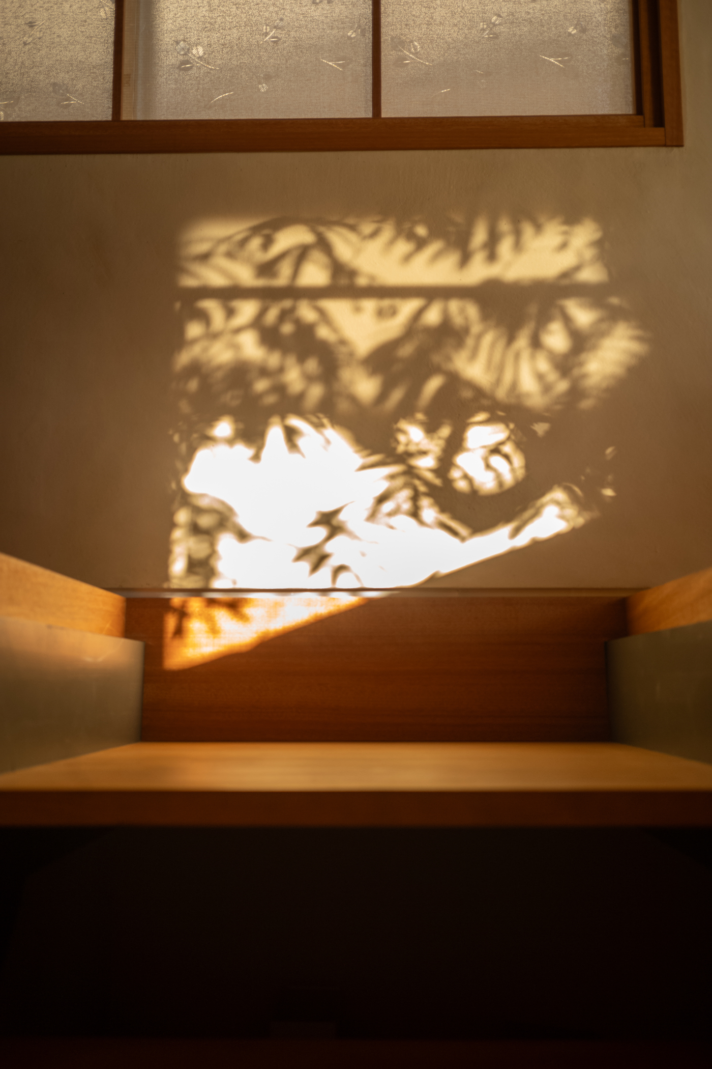 hayashisakimatsue2025_22